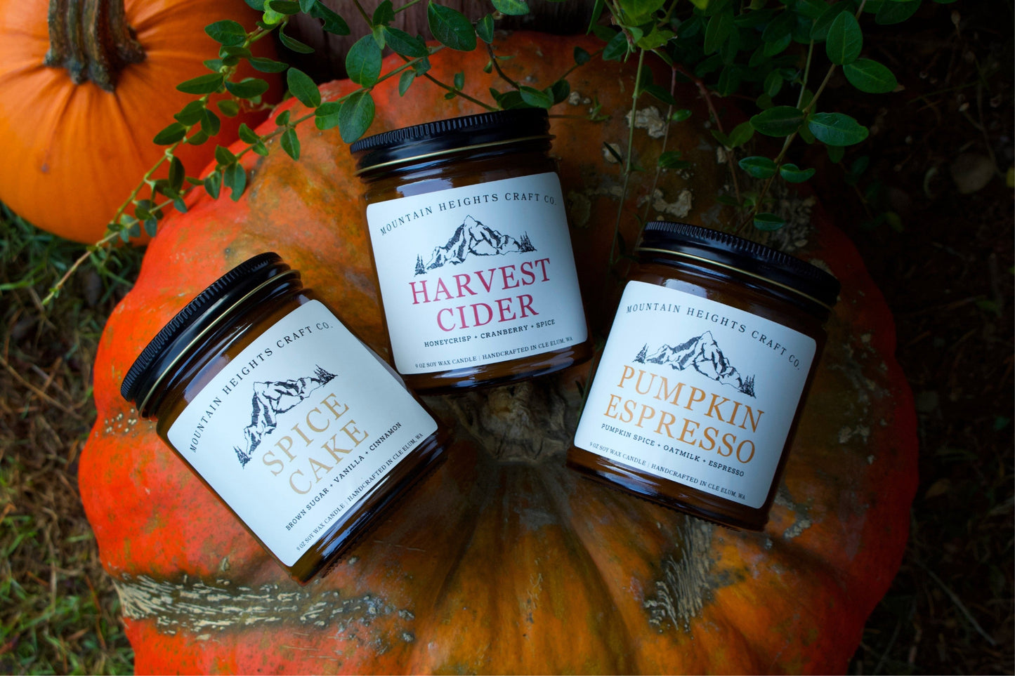 The Fall Collection